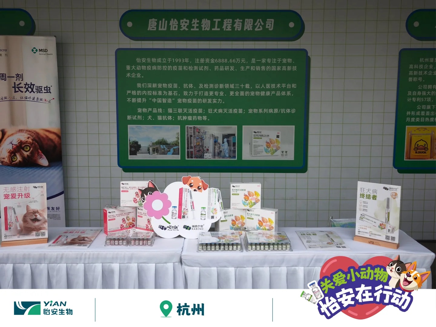 怡安攜狂犬疫苗助力犬風(fēng)鈴行動(dòng),走進(jìn)浙江_5_怡安生工_來(lái)自小紅書網(wǎng)頁(yè)版