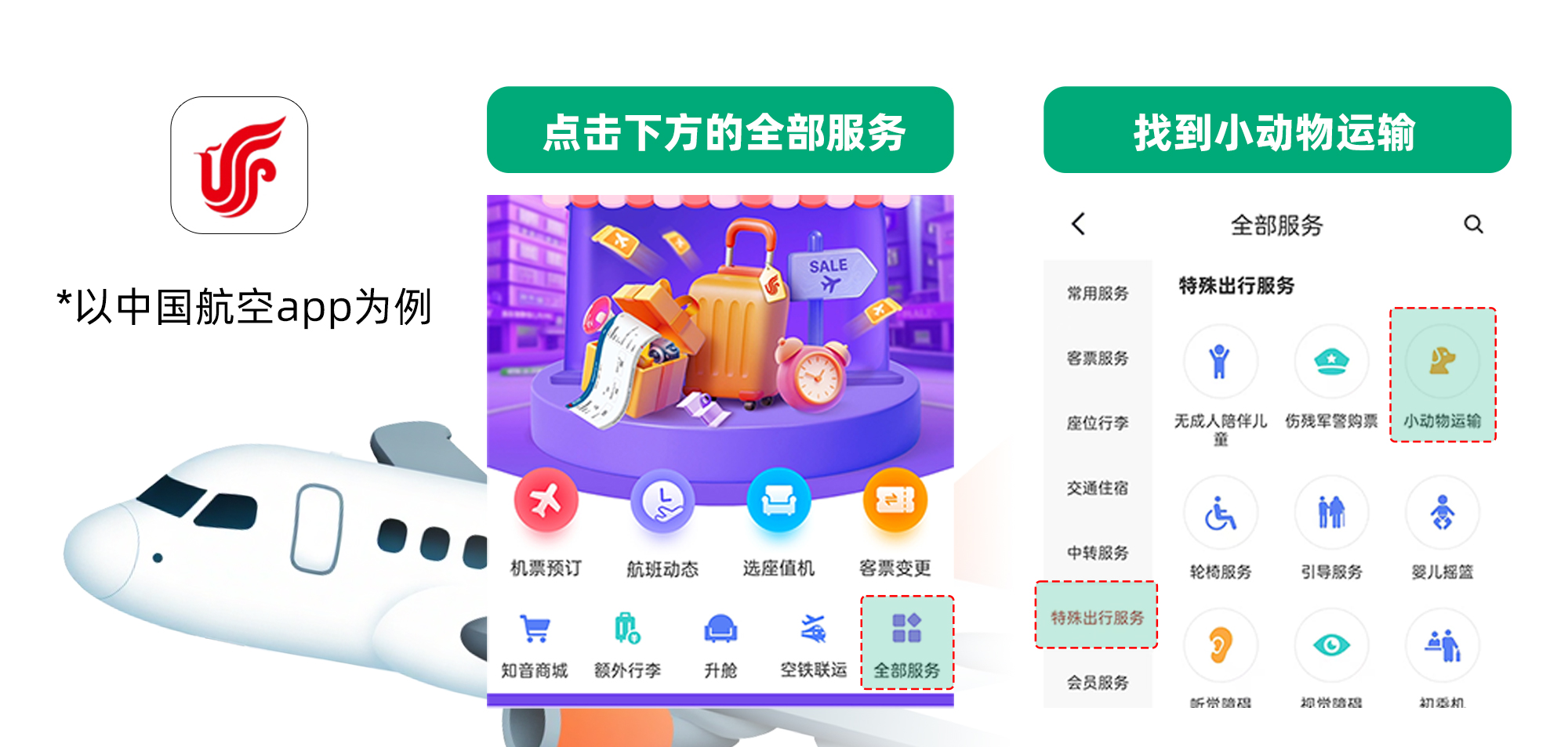 毛孩子可以坐飛機(jī)高鐵啦---小紅書尺寸